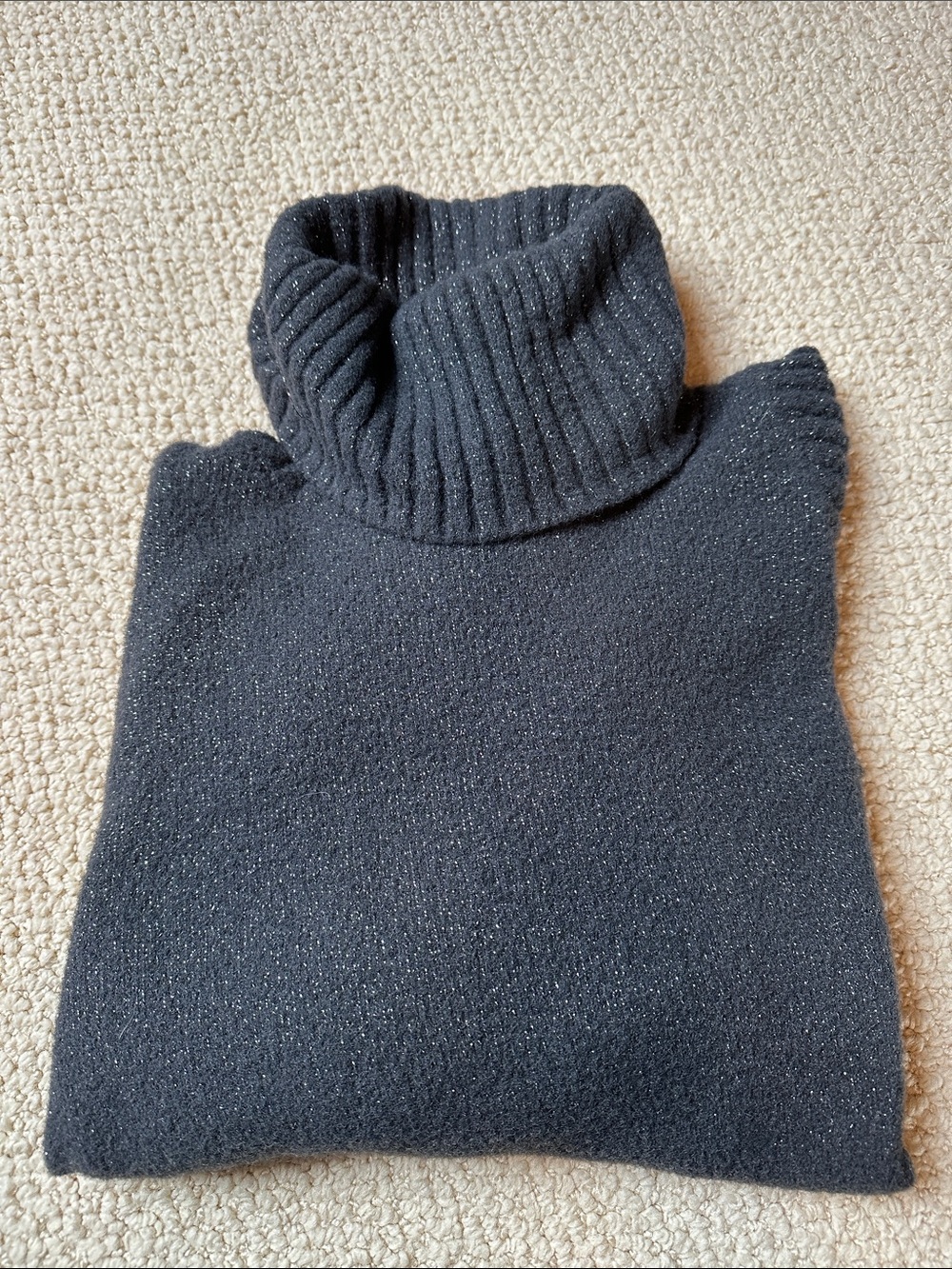 Express Sparkle Turtleneck Sweater